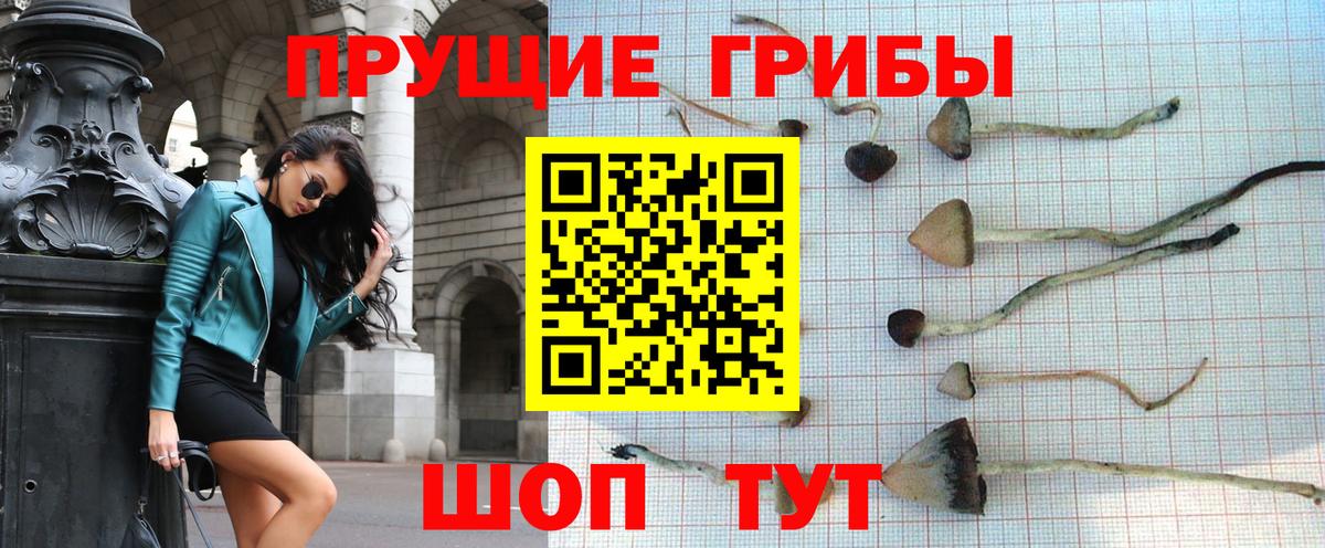 Баксан  Псилоцибиновые грибы MAGIC MUSHROOMS  Вход с VPN  Галлюциногенные грибы MAGIC MUSHROOMS 