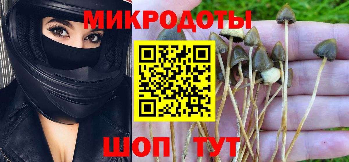 Галлюциногенные грибы мицелий Баксан