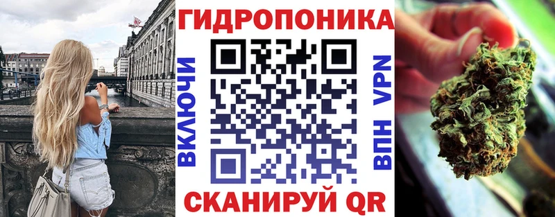 Канабис сатива  что такое   Баксан 